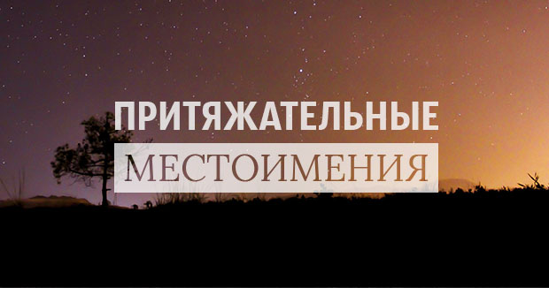 Притяжательные местоимения в немецком языке. Склонение притяжательных